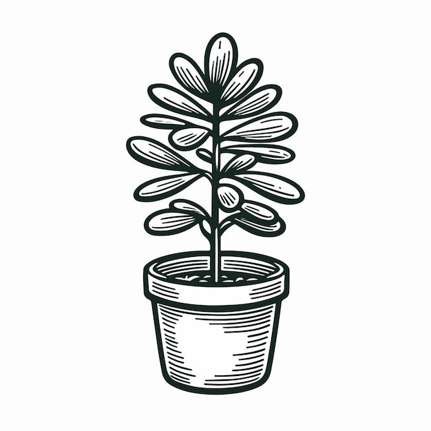 Illustration of a plant pot in line art style