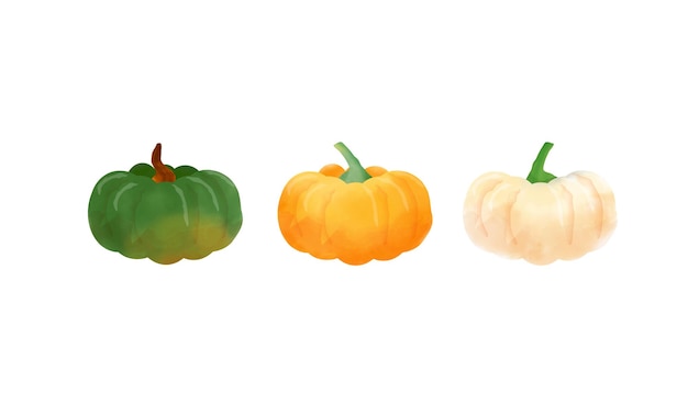 Illustration of pumpkin in three colors