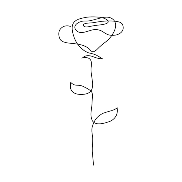 Illustration of a rose, line drawing of a flower, line drawing of a rose, isolated on a white background, continuous line. Vector Graphics