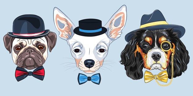 Vector illustration set of cartoon hipster dogs