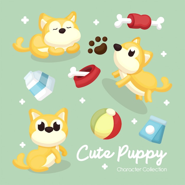 Illustration set of Dog character and accessories