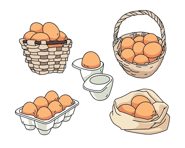 Illustration set of egg with the container