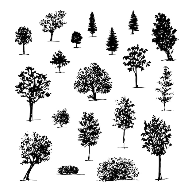 Illustration set of silhouettes trees isolated on white