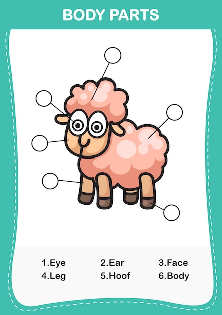 Illustration of sheep vocabulary part of bodyWrite the correct numbers of body parts