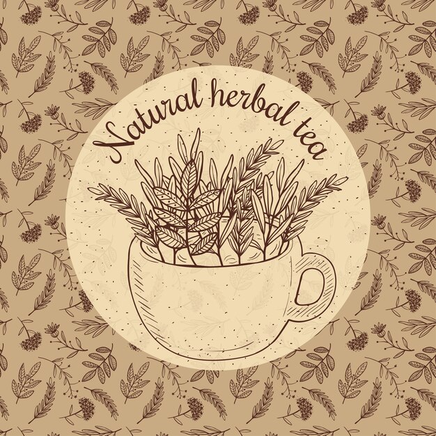 illustration sketch card - herbal tea, craft