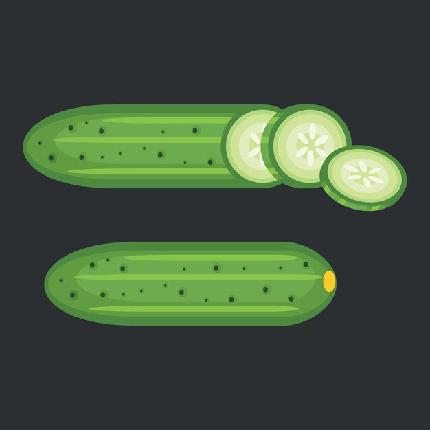 Vector illustration of sliced cucumber on black background food illustration