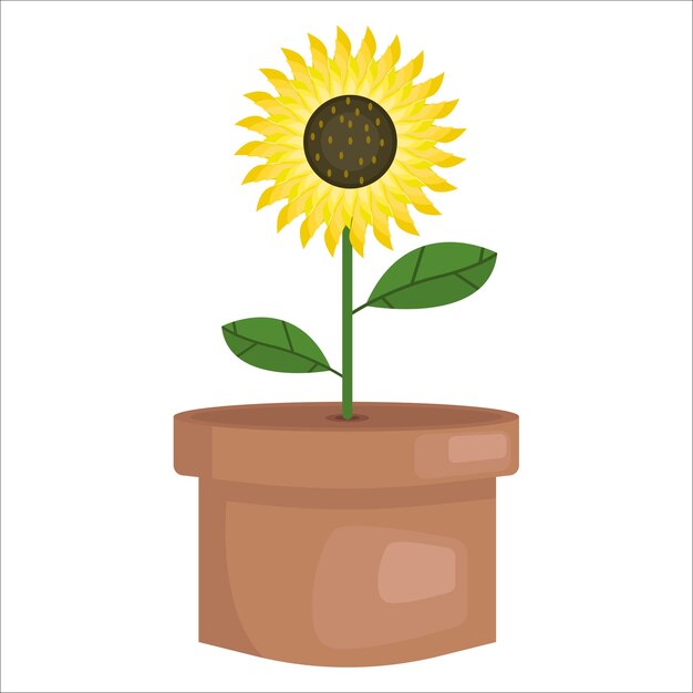 Illustration of sunflower