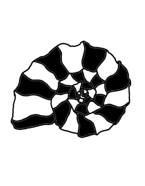 Illustration of a swirling wavy seashell in black and white.