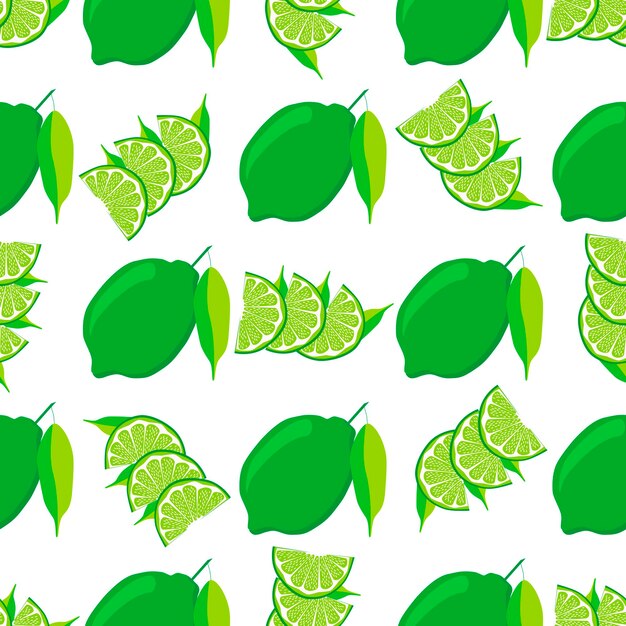 Illustration on theme big colored seamless green lime