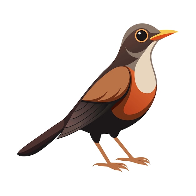 Vector illustration of a thrush bird on white