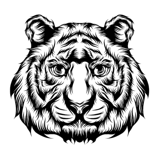 The illustration of the tiger's single head for the tattoo ideas