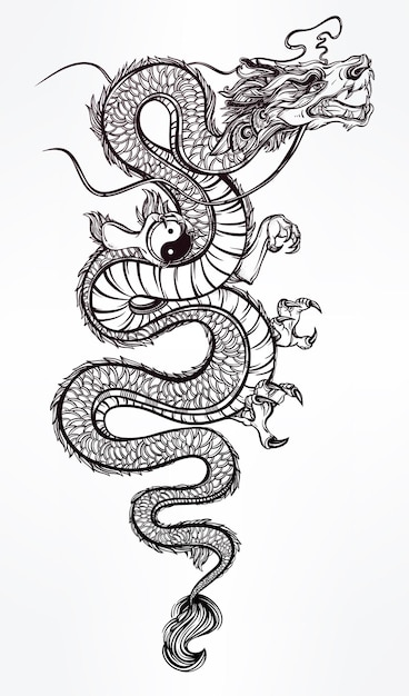 Illustration of traditional Asian dragon