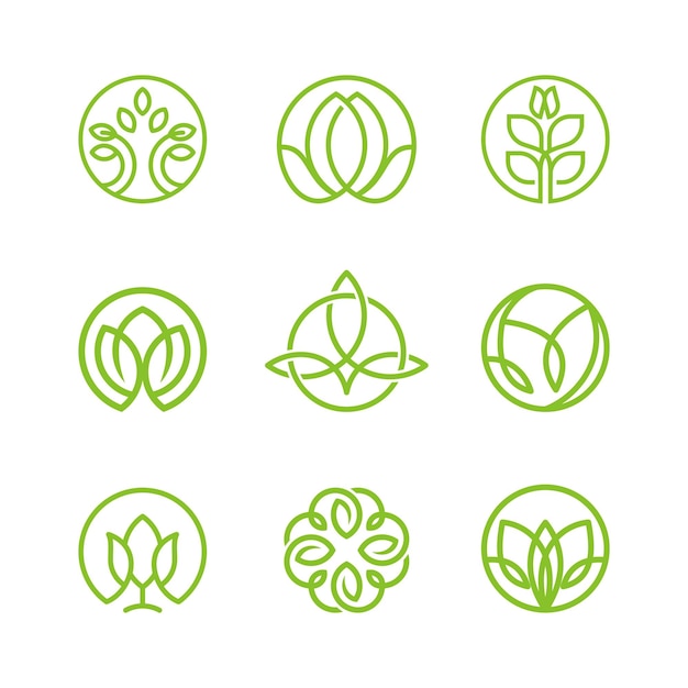 illustration vector graphic logo, leaf seeds grow. fit for nutrition products, etc.