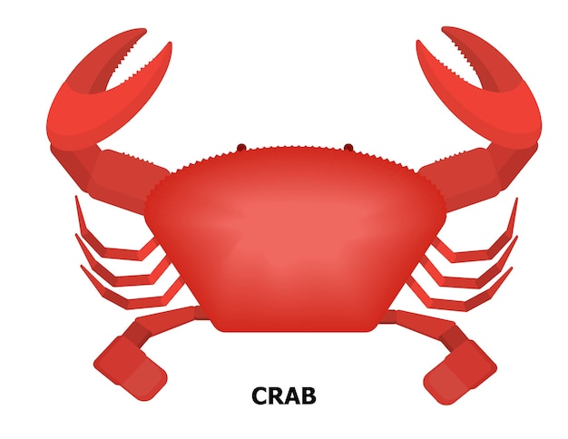 Vector illustration vector isolated of grilled red crab on white background