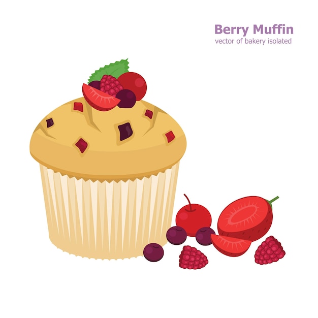 Vector illustration vector of mix berry muffin