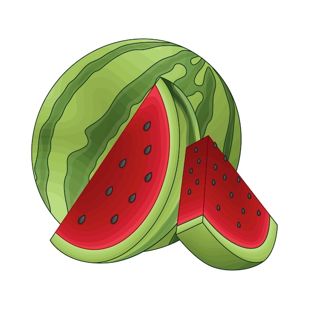 Illustration of watermelon