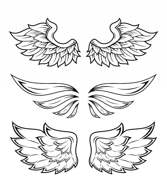 Illustration Of Wings Collection Set