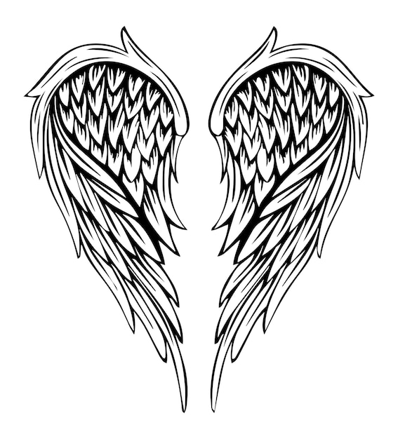 illustration of wings