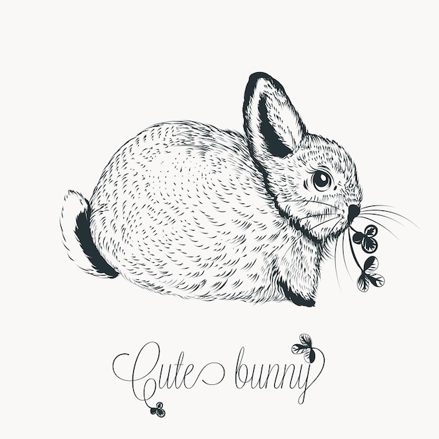 Illustration with cute vector hand drawn little rabbit