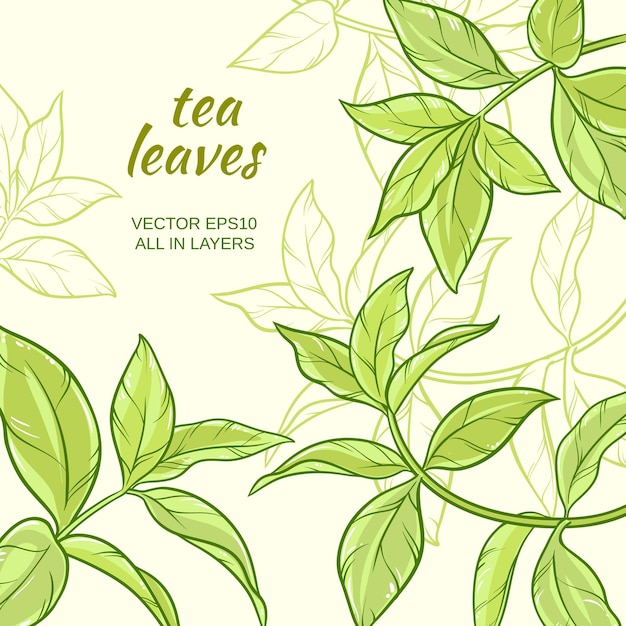 Illustration with green tea leaves on color background