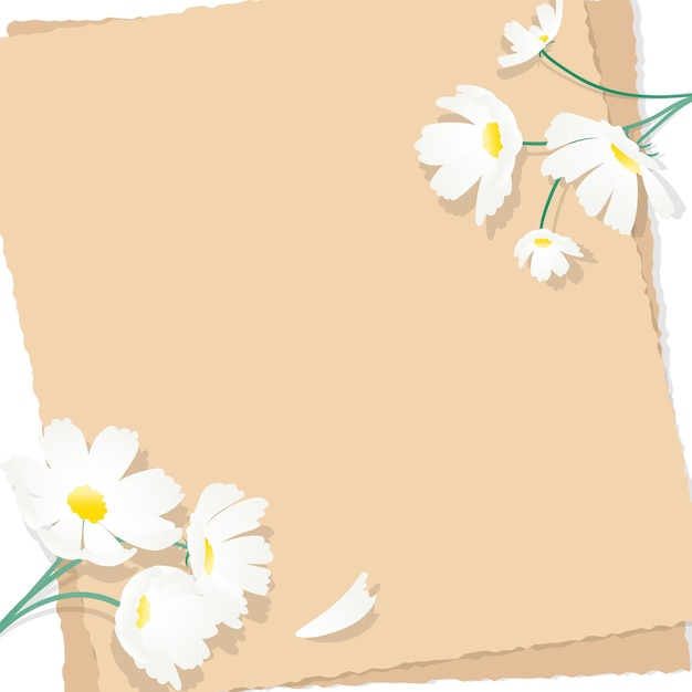 Illustration with white cosmos flowers and letter papers.