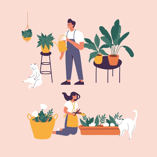 illustration woman and man taking care of houseplants growing in planters. Young cute woman cultivating potted plants at home.