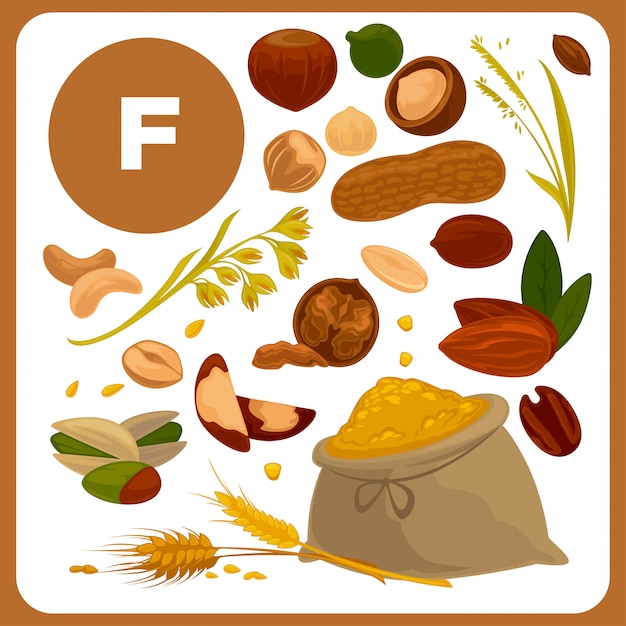 Illustrations of food with vitamin F.