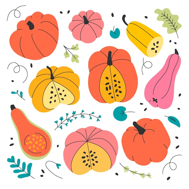 Illustrations of various pumpkins