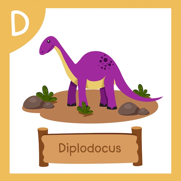 Vector illustrator of d for dinosaur diplodocus