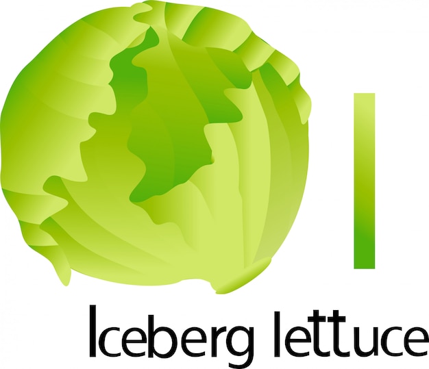 Illustrator of  font with iceberg lettuce