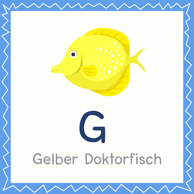 Illustrator of G for Gelber Doktorfisch animal