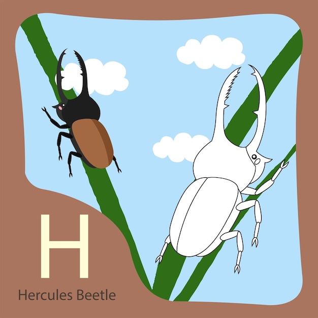 Illustrator of Hercules beetle isolated and coloring