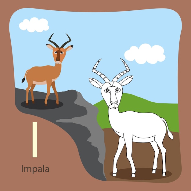 Illustrator of impala isolated and coloring