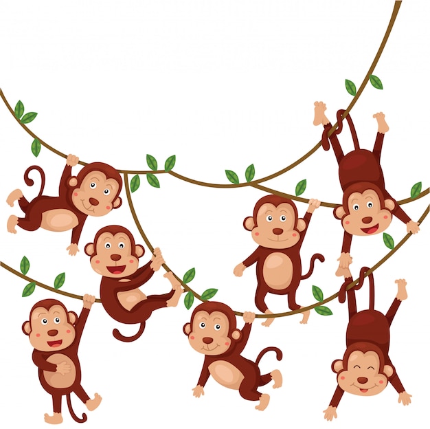 Illustrator of monkeys funny cartoon