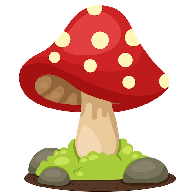 Illustrator of mushrooms landscape