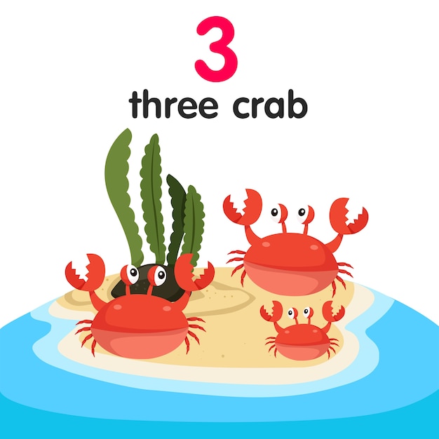 Illustrator of three crab