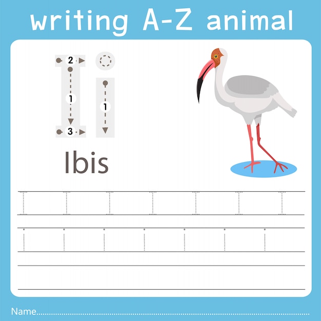 Illustrator writing a-z animal of ibis