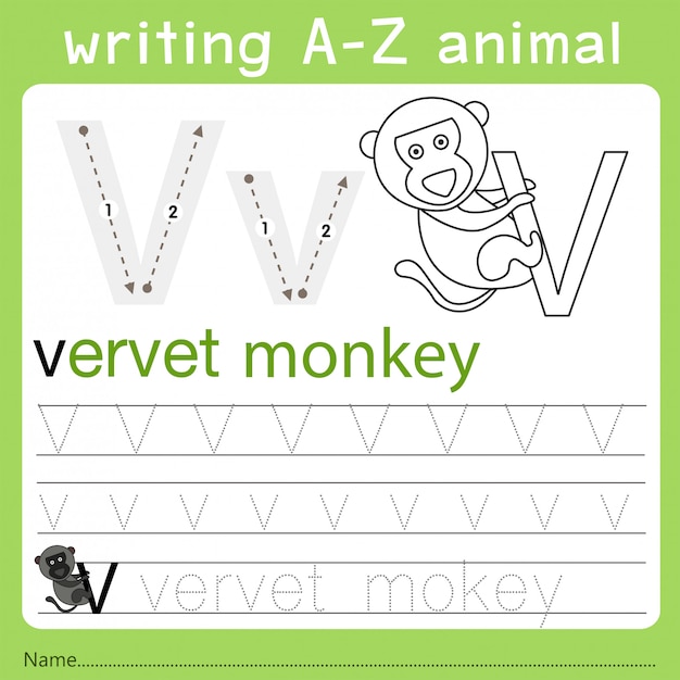 Illustrator of writing a-z animal v