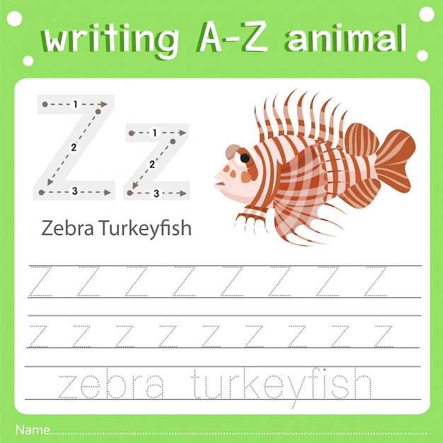 Illustrator of writing a-z animal z zebra turkeyfish