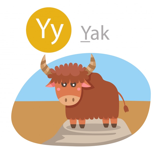 Illustrator of Y for yak animal