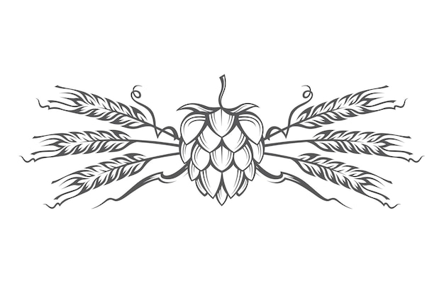 image of hop and barley ear