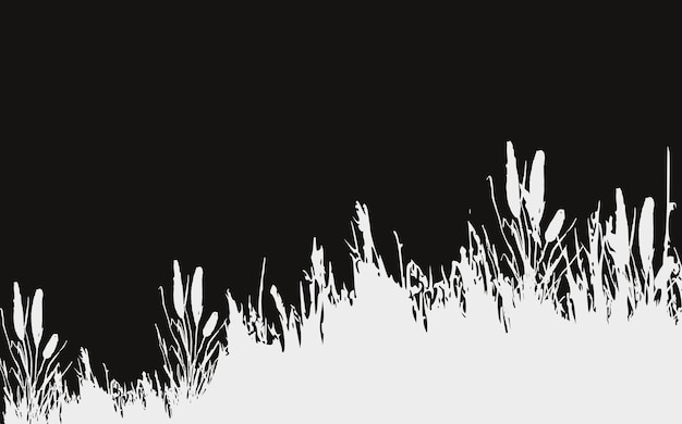 Image of a monochrome reedgrass or bulrush on a white backgroundIsolated vector drawing