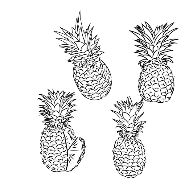 Image of pineapple fruit vector black and white illustration