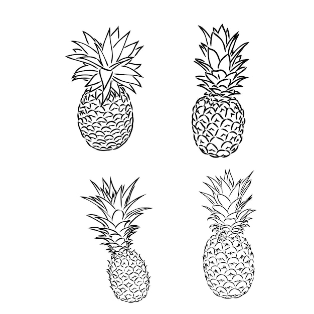 Image of pineapple fruit vector black and white illustration