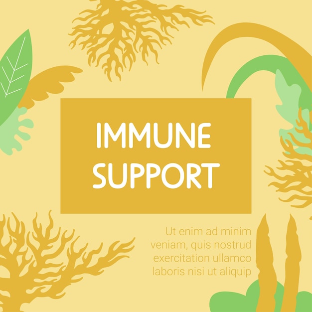 Immune support dieting and nourishment banner