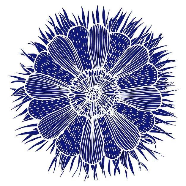 The imprint of the medicinal flower of Adonis in blue tone over white background