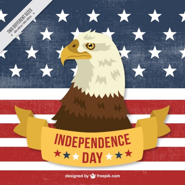 Vector independence day background with eagle and usa flag