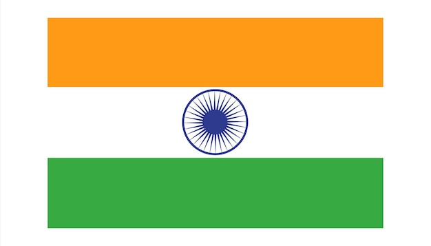 Vector india flag vector illustration