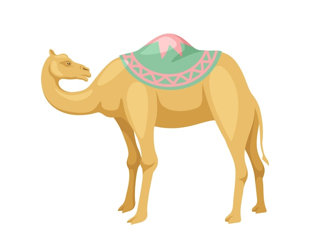 Indian camel with saddle concept Animal with traditional indian clothes Sticker for social networks and messengers Cartoon flat vector illustration isolated on white background