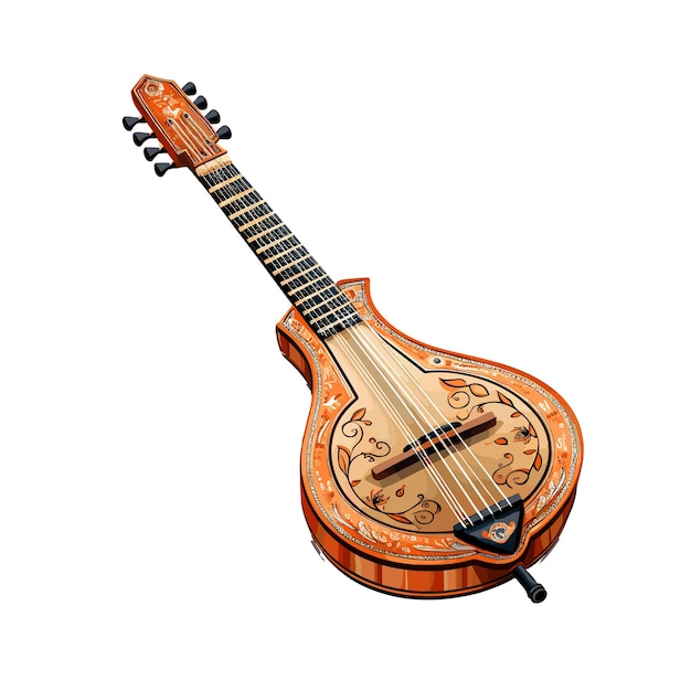 Indian musical instrument illustration